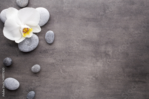 White orchid and spa stones on the grey background.