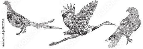 crane, falcon, pheasant Asian patterns