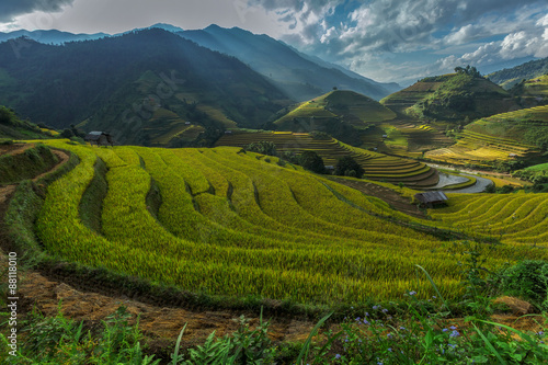 Rice fields on terraced of Mu Cang Chai, YenBai, Vietnam. Rice fields prepare the harvest at Northwest Vietnam © JKLoma