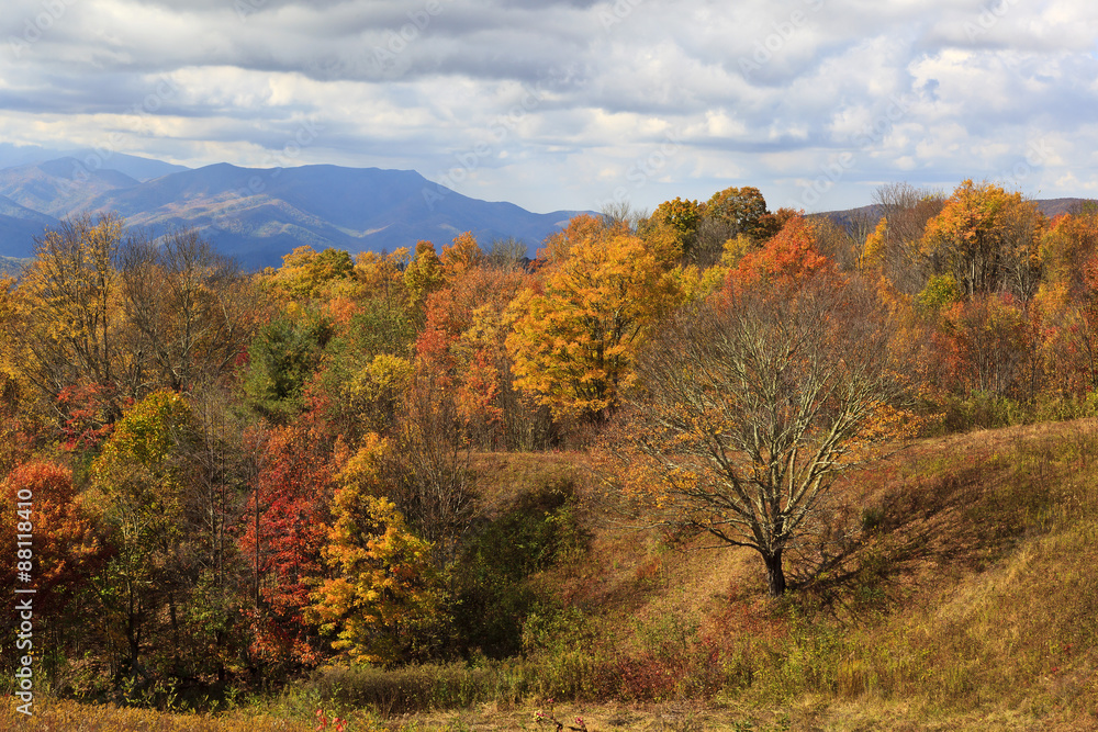 View from Max Patch Road in NC