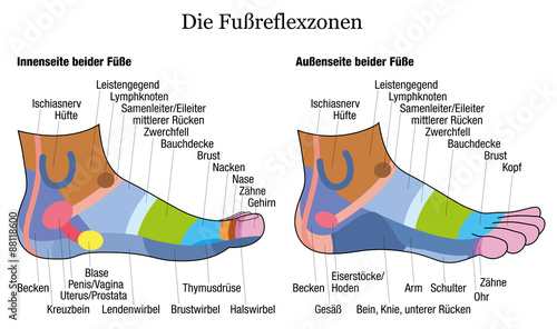 Foot reflexology chart - inside and outside view of the feet - with description of corresponding internal organs and body parts in GERMAN LANGUAGE. Vector illustration on white background.