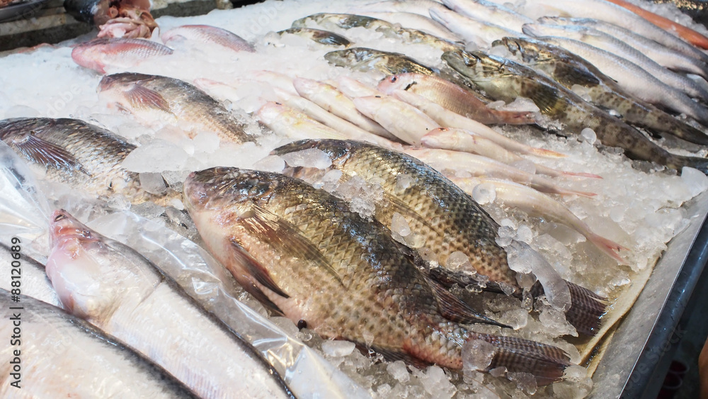 Fresh fish in market