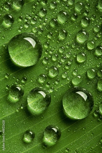 Close up view of the water drops background