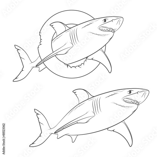 Vector drawing of a terrible shark. Isolated objects on a white background.