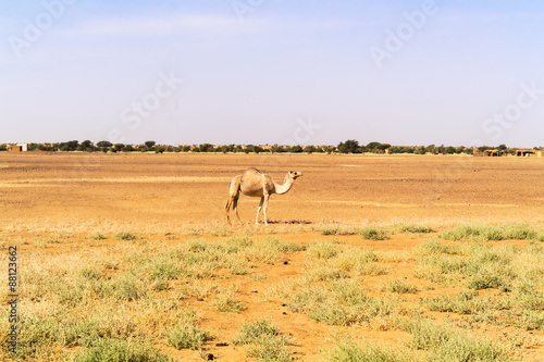 Desert landscape in Sudan