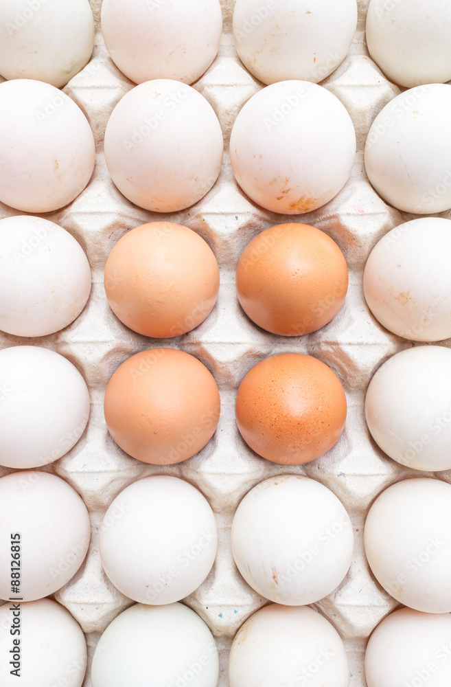 Duck and chicken eggs in carton paper on the top view. Duck and chicken eggs in carton paper on the top view.