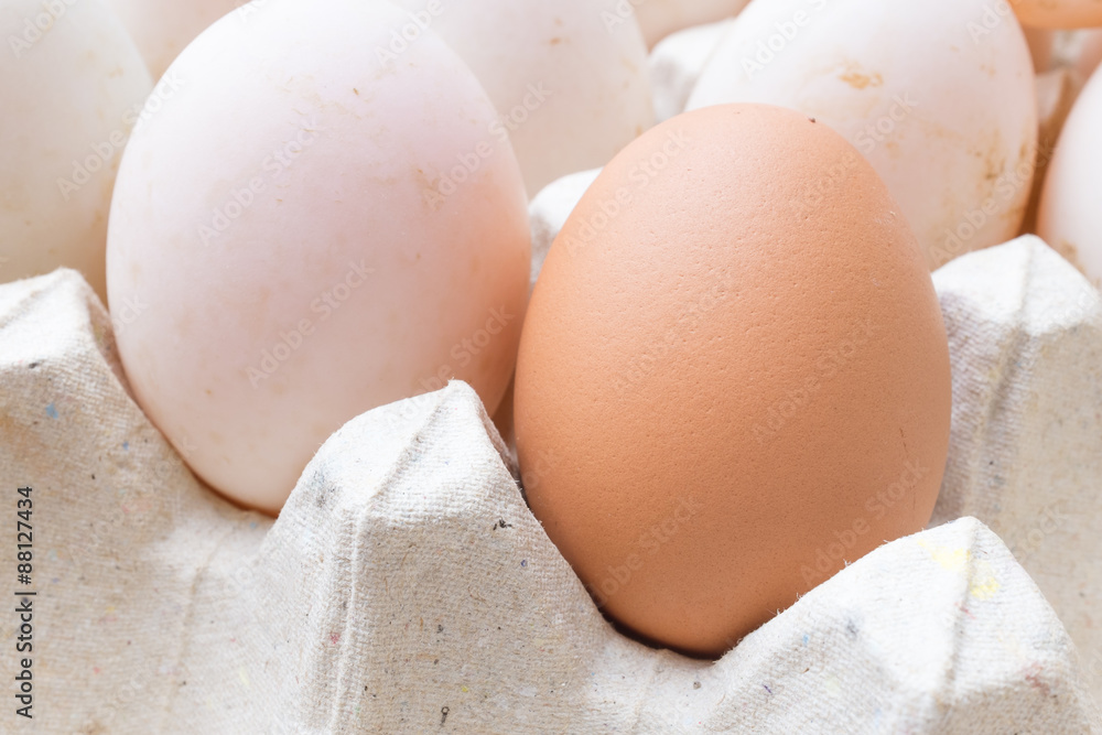 Chicken and duck eggs in carton paper. Chicken and duck eggs in carton paper.