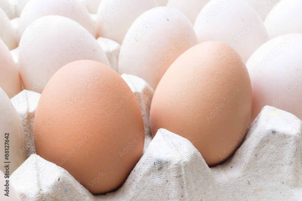 Chicken and duck eggs in carton paper. Chicken and duck eggs in carton paper.