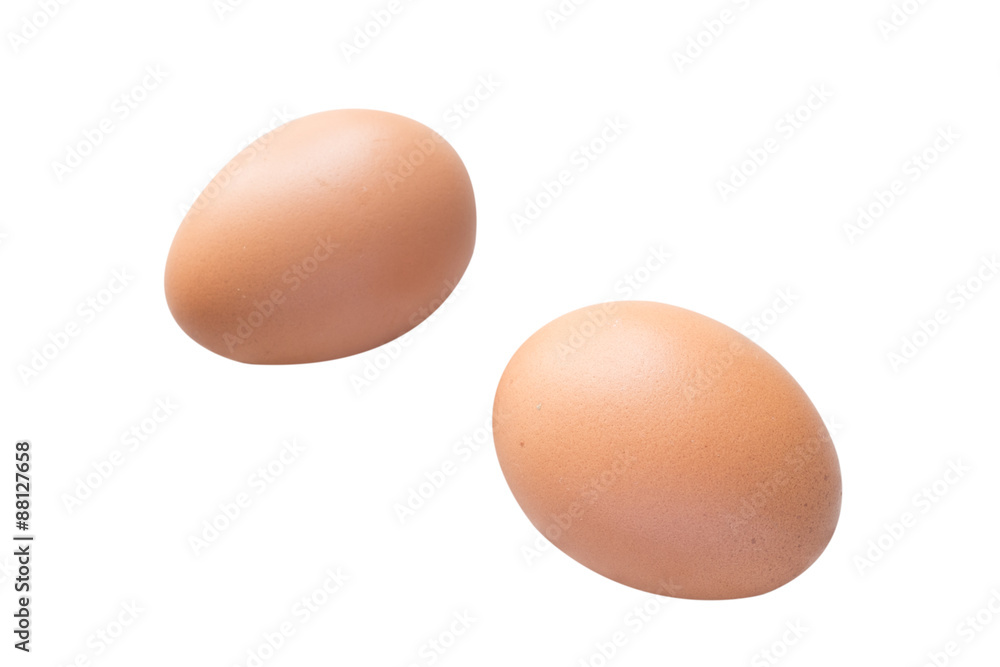 Chicken egg on isolated background. Chicken egg on isolated background.