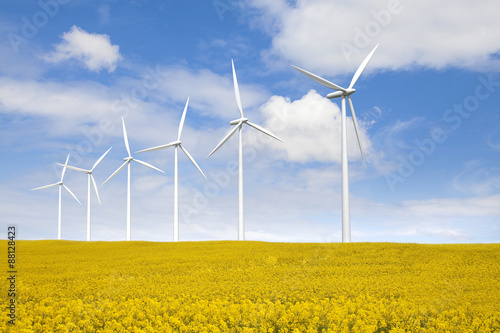 Wind Farm © Andrew Dorey