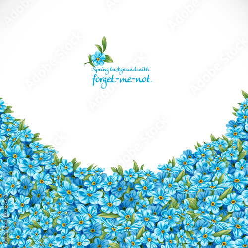 Spring background with forget-me-not