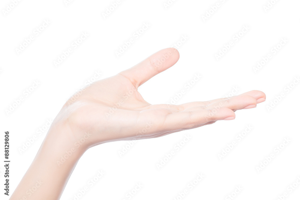 empty female woman hand open empty female woman hand open