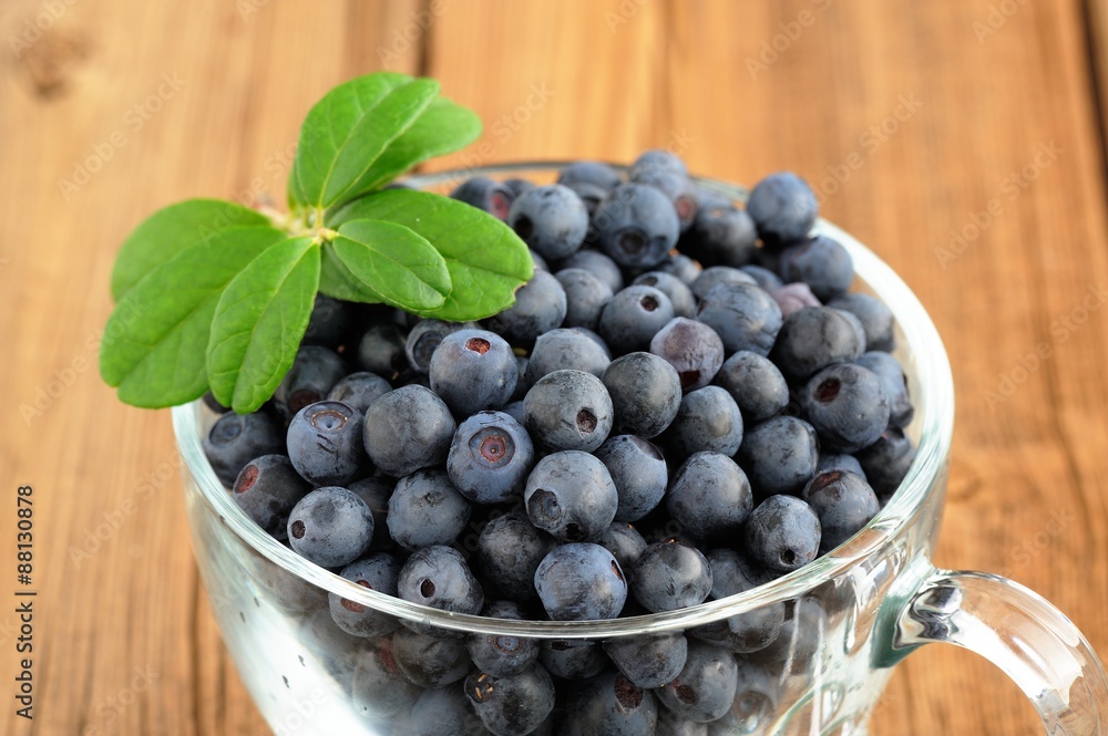 Glass teacup full of fresh wild blueberries with green spring on Glass teacup full of fresh wild blueberries with green spring on