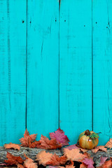 Blank wood sign with fall decor border