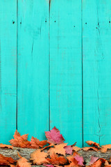 Rustic blank antique green wood sign with fall leaves on log border