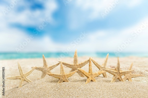 Starfish, ocean, beach.