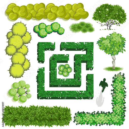 Trees and bush item top view for landscape design, vector icon.