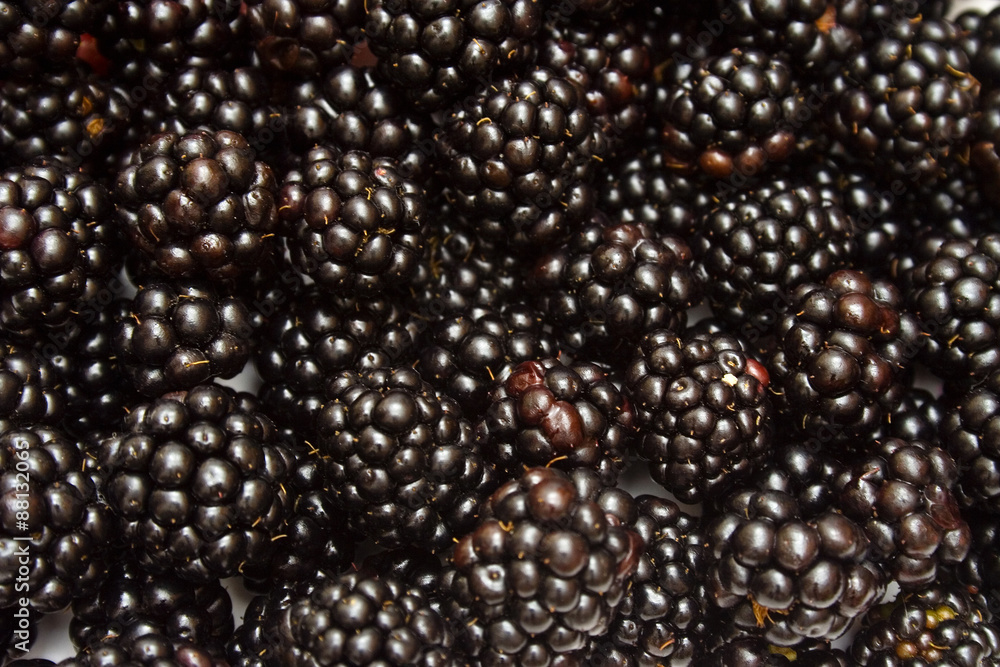 Blackberry Blackberry
