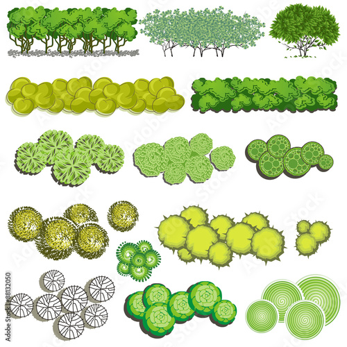 Trees and bush item top view for landscape design, vector icon.