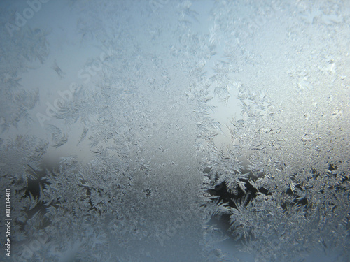 frozen winter window