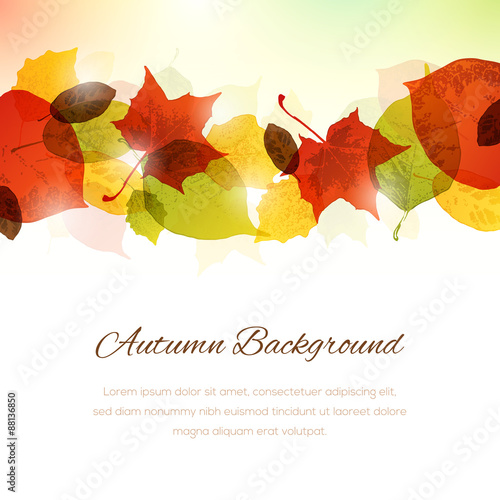 Background with Autumn Leaves at the Top and Copy Space at the B