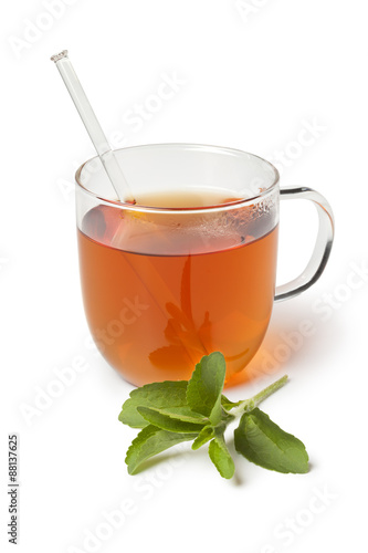 Glass with tea and fresh stevia leaves