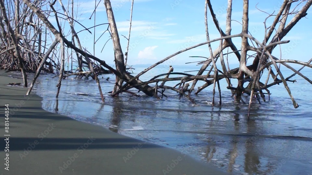 Costa Rica beach during the low tide.
Costa Rica beach during the low tide.