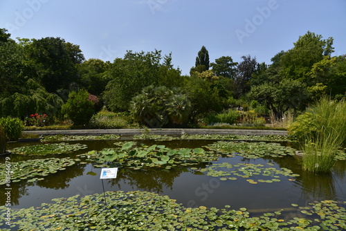 La pièce d'eau et la végétation variée du Jardin Botanique de Bordeaux