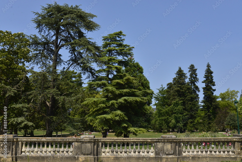 Les arbres variés depuis la rambarde en pierre du Jardin Botanique de Bordeaux Les arbres variés depuis la rambarde en pierre du Jardin Botanique de Bordeaux