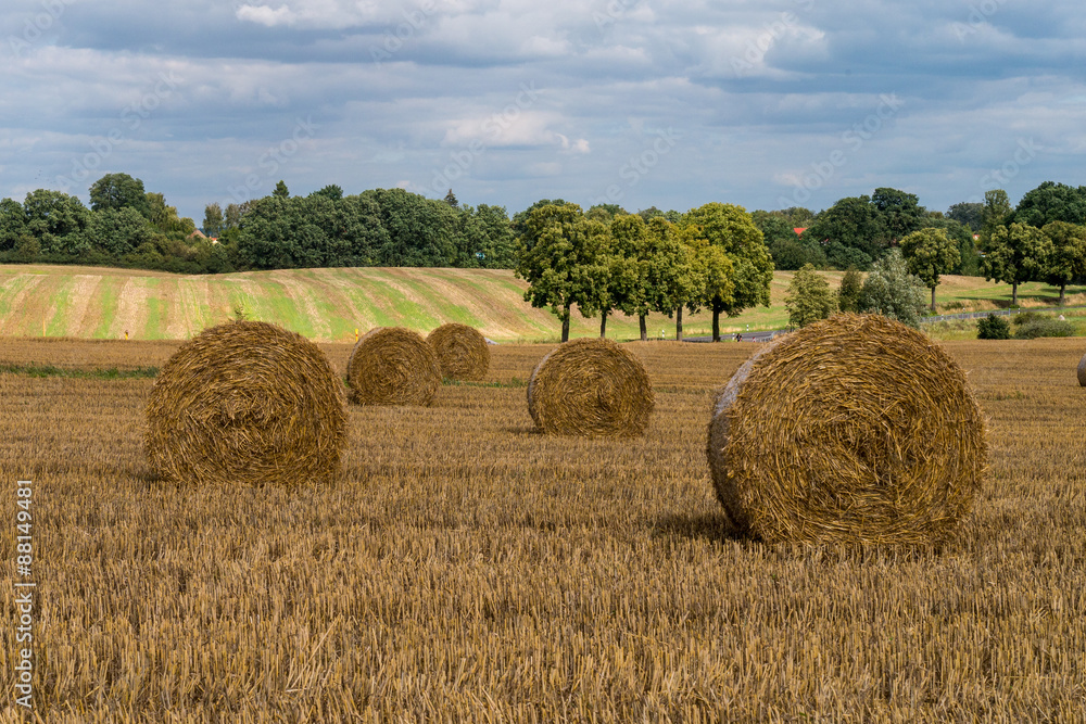 Feld mit Strohballen - Märkische Schweiz