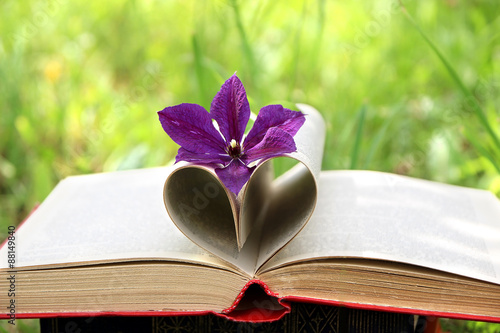Open book with summer clematis flower on nature background. Knowledge is power. Love everywhere. Love in nature