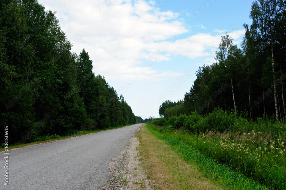 Landstraße im Puhata Nationalpark / Estland