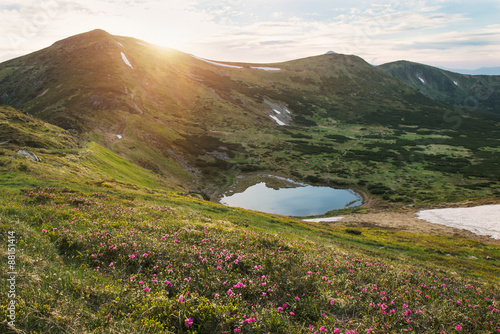 Small mountain lake on sunset with rhododendrons