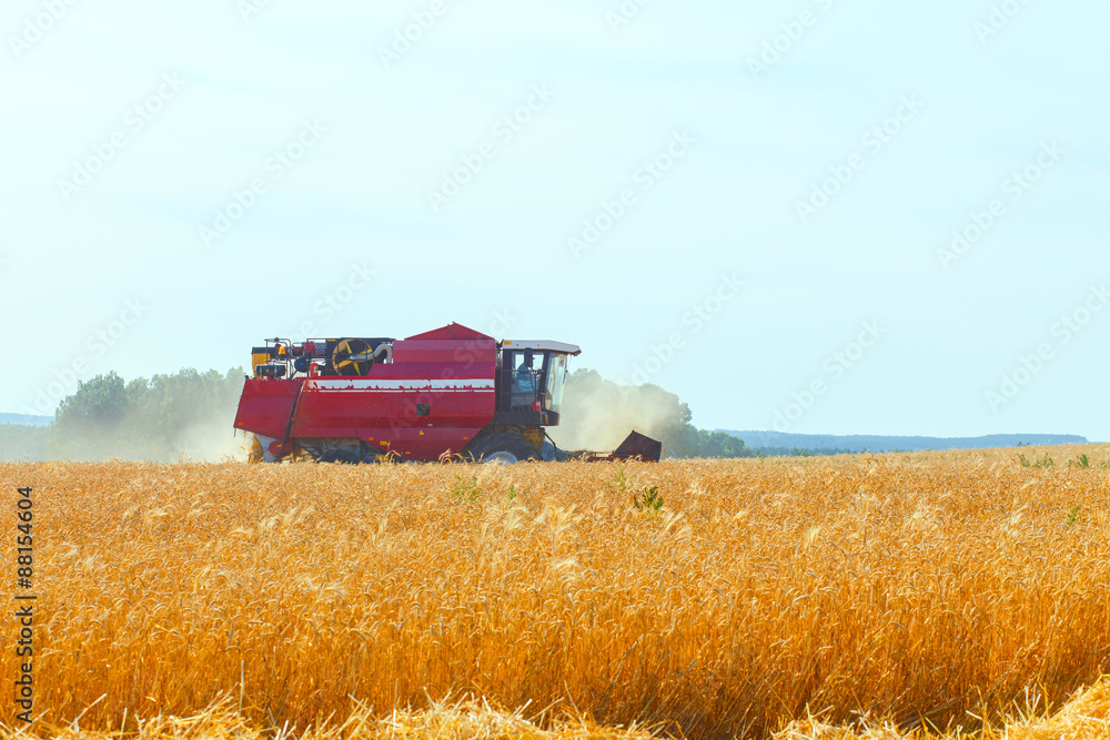 Obraz premium combine harvester