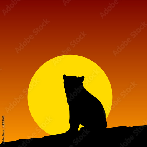 bear on the moonlight color vector