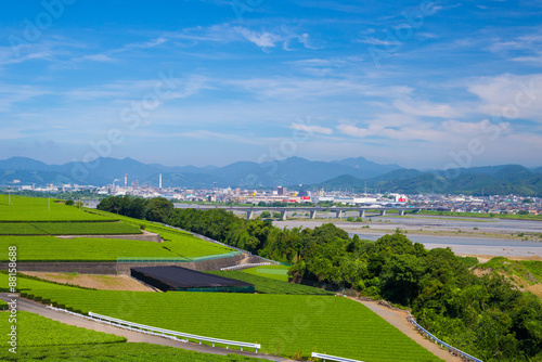 茶畑と大井川 