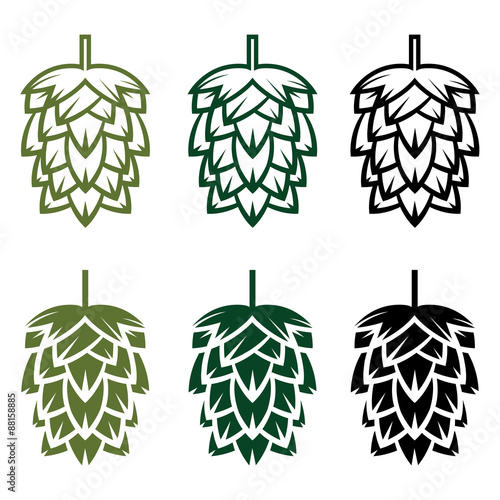 Hops vector design template