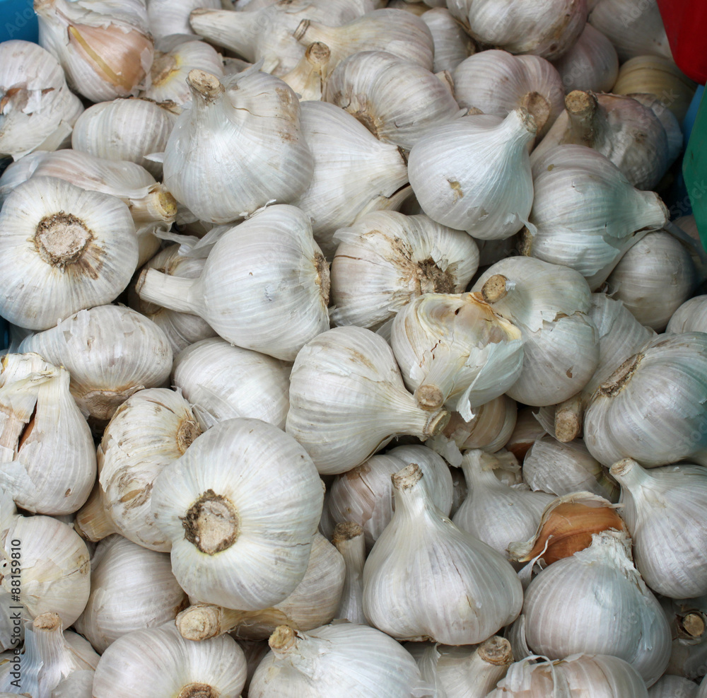 Closeup of Fresh Garlic at the Farmers' Market Closeup of Fresh Garlic at the Farmers' Market