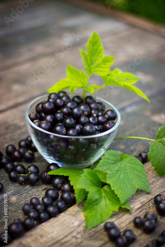 black currant in a glass bowl transparent scattered on the old w