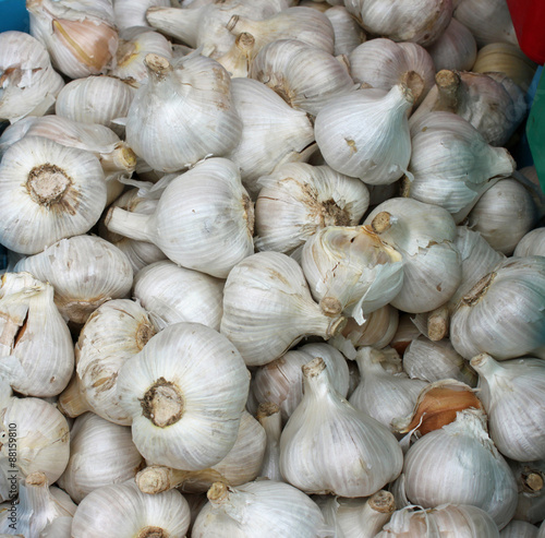 Closeup of Fresh Garlic at the Farmers' Market
