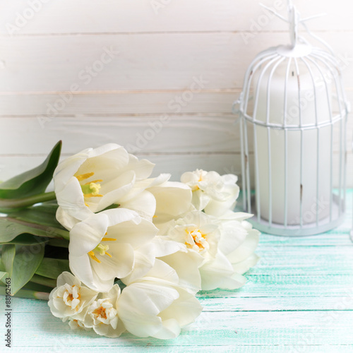 Background with fresh  tulip flowers abd candles