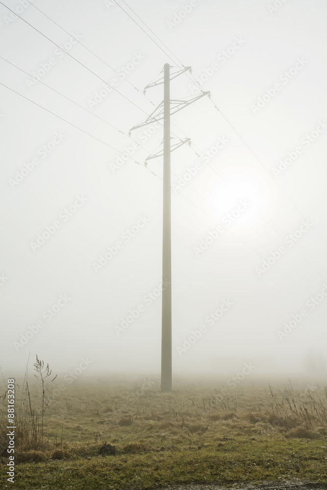 pole in the early morning fog