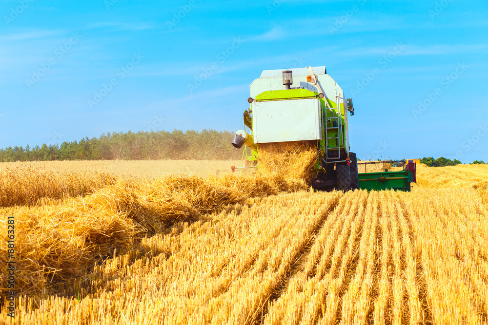Fototapeta premium combine harvester