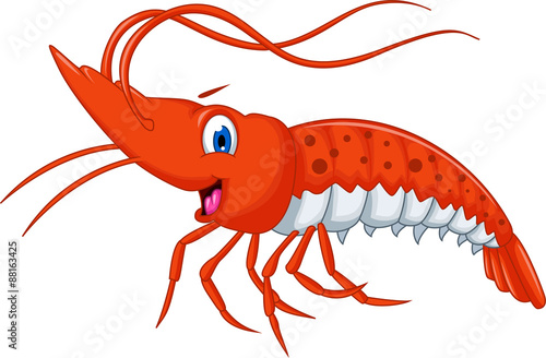 Cute shrimp cartoon for you design