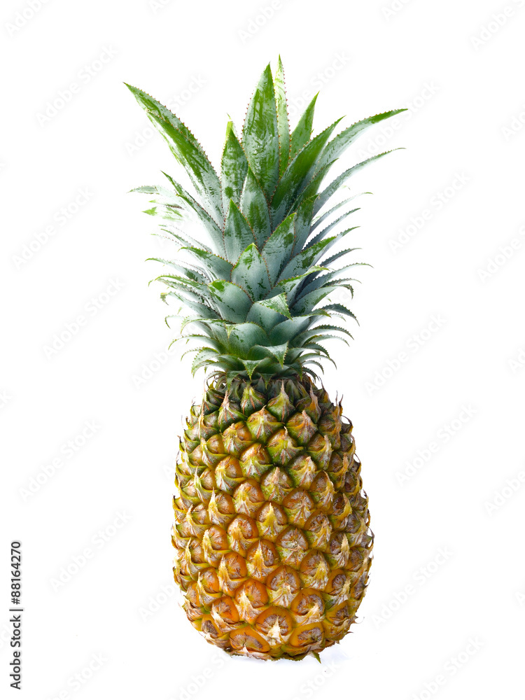 pineapple slices isolated on white background pineapple slices isolated on white background