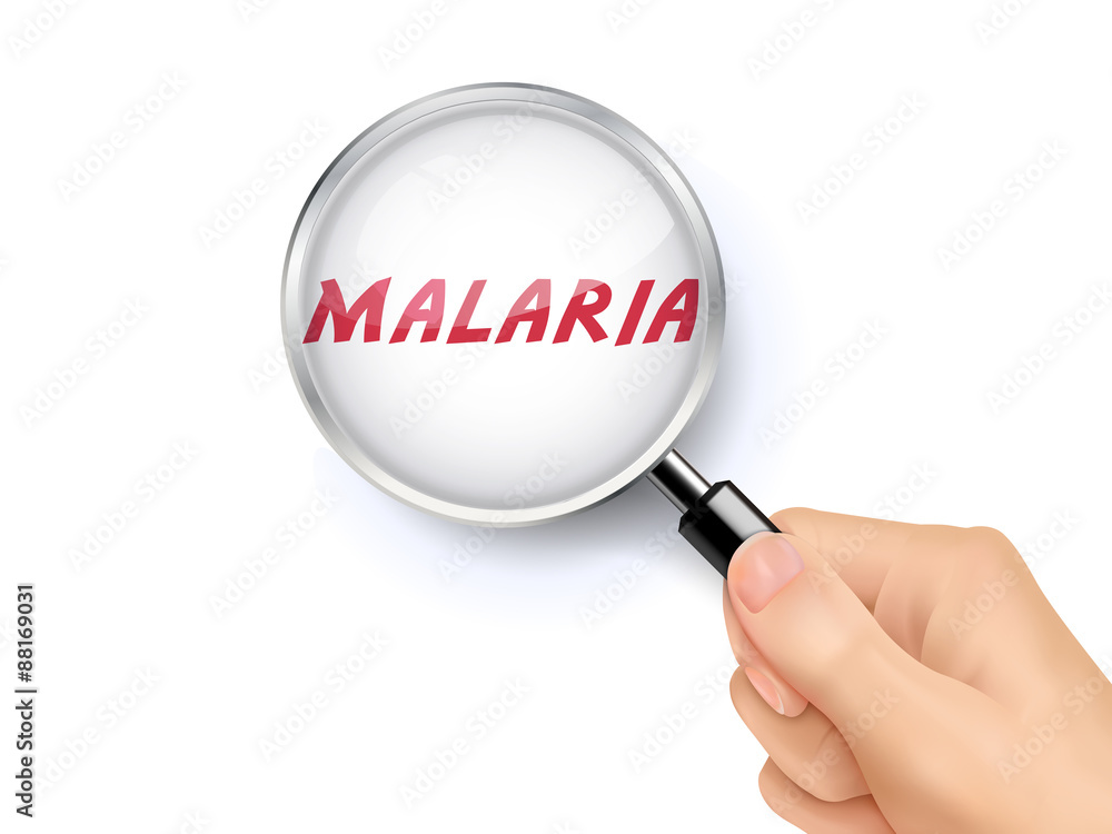 malaria showing through magnifying glass malaria showing through magnifying glass