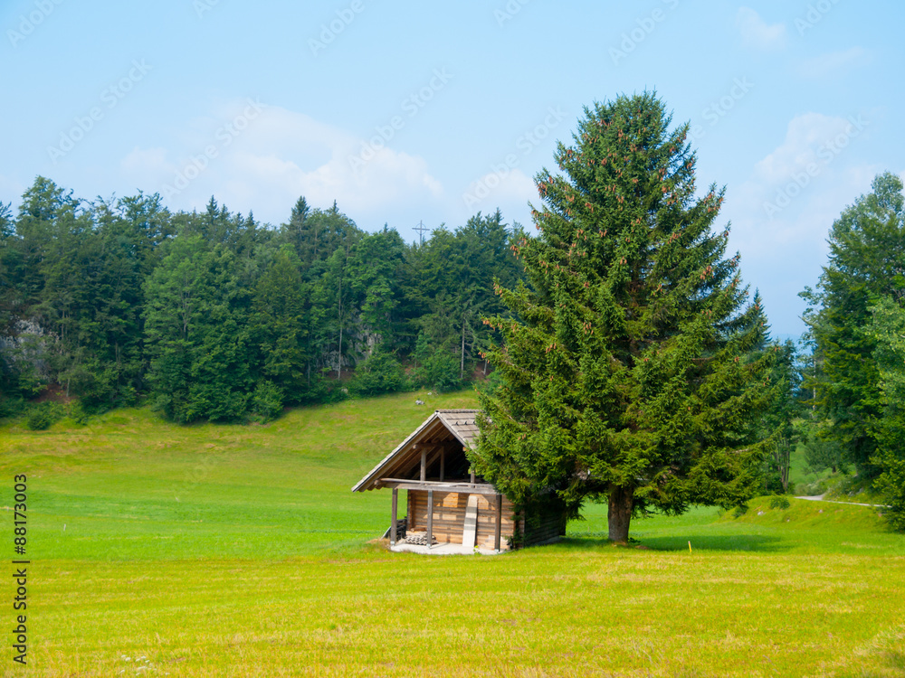 Wooden hut and tree in the middle of meadow