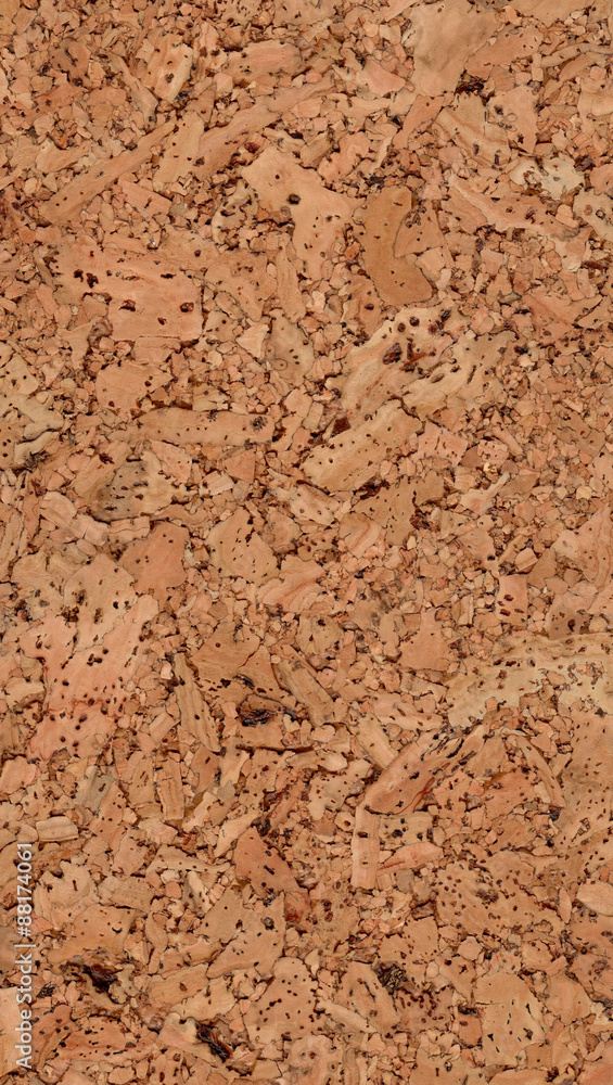 Texture of natural corkwood with large parts
