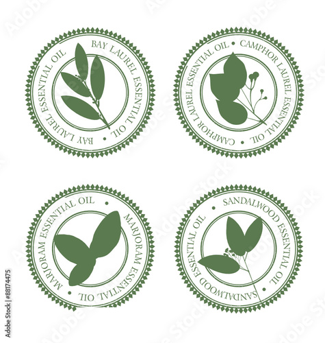 Set of green essential oil labels set. Bay laurel, Camphor Laurel, Marjoram, Sandalwood.