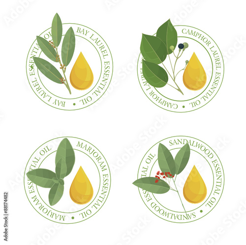 Set of  essential oil labels set. Bay laurel, Camphor Laurel, Marjoram, Sandalwood.